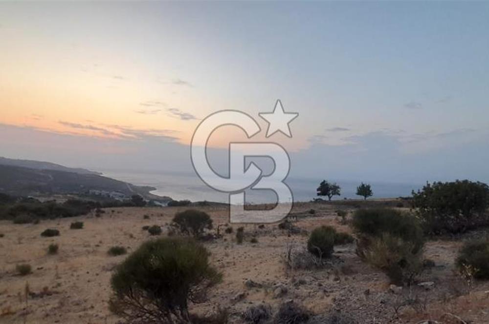 Karaburun Bozköy de Satılık Deniz Manzaralı Tarla