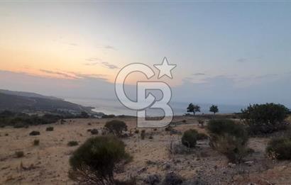 Karaburun Bozköy de Satılık Deniz Manzaralı Tarla