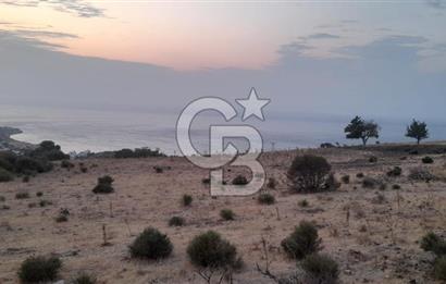 Karaburun Bozköy de Satılık Deniz Manzaralı Tarla