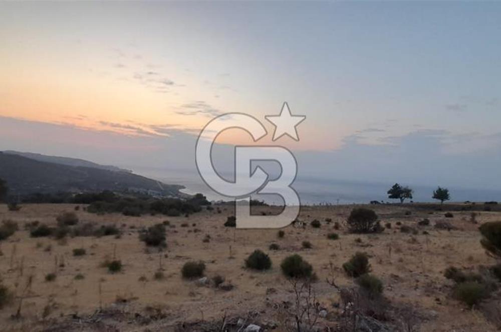 Karaburun Bozköy de Satılık Deniz Manzaralı Tarla