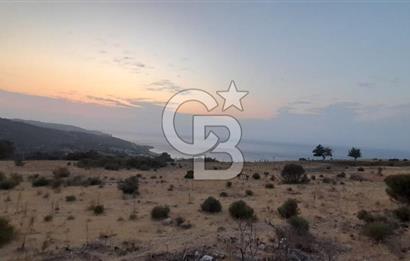 Karaburun Bozköy de Satılık Deniz Manzaralı Tarla