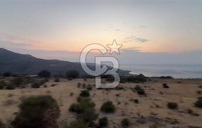 Karaburun Bozköy de Satılık Deniz Manzaralı Tarla