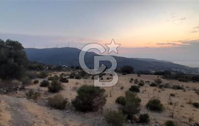 Karaburun Bozköy de Satılık Deniz Manzaralı Tarla