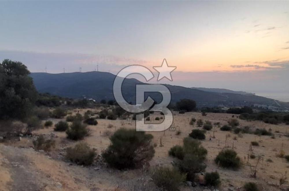 Karaburun Bozköy de Satılık Deniz Manzaralı Tarla