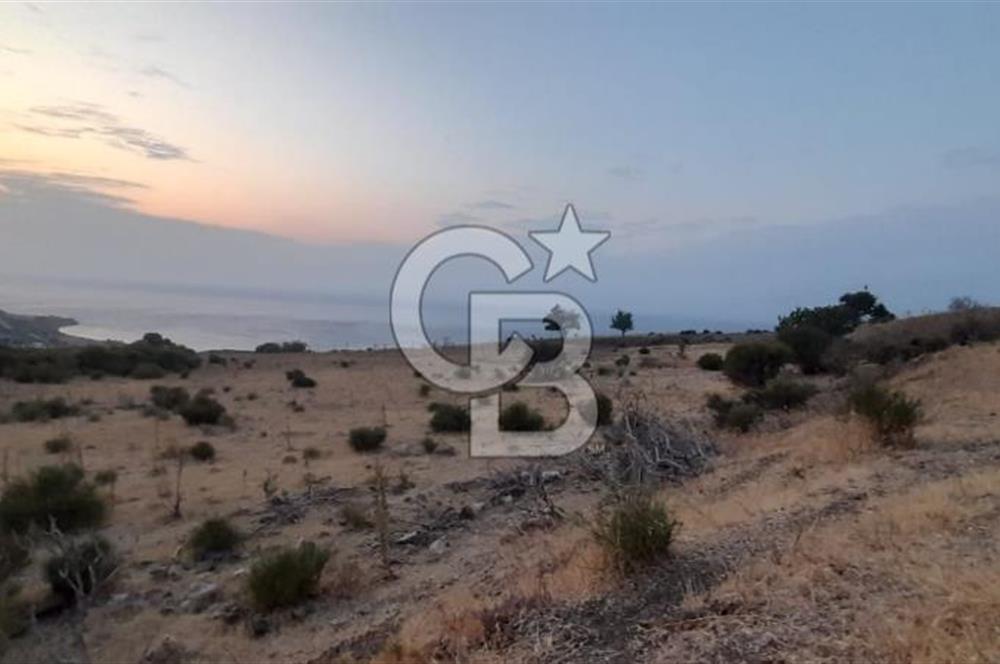 Karaburun Bozköy de Satılık Deniz Manzaralı Tarla
