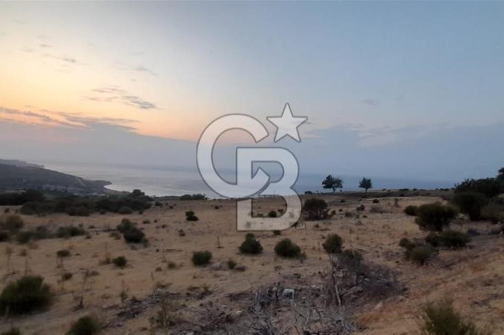 Karaburun Bozköy de Satılık Deniz Manzaralı Tarla
