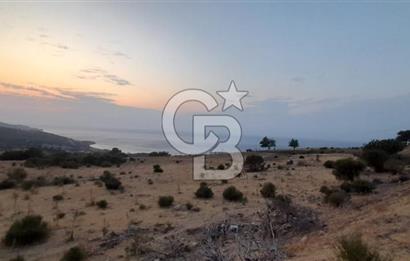 Karaburun Bozköy de Satılık Deniz Manzaralı Tarla