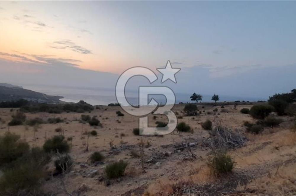 Karaburun Bozköy de Satılık Deniz Manzaralı Tarla