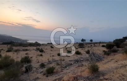 Karaburun Bozköy de Satılık Deniz Manzaralı Tarla