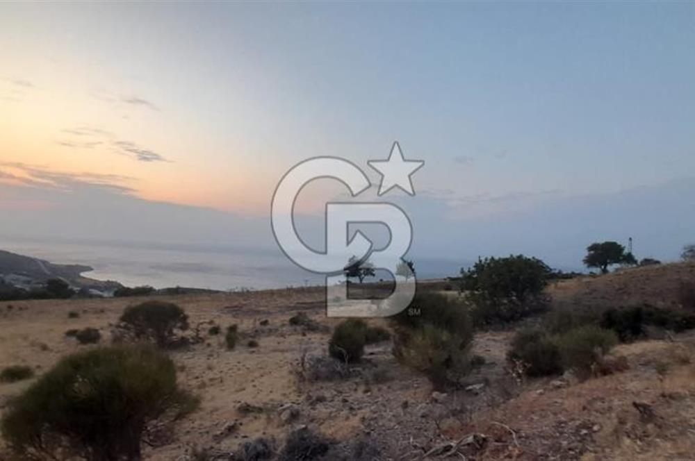 Karaburun Bozköy de Satılık Deniz Manzaralı Tarla