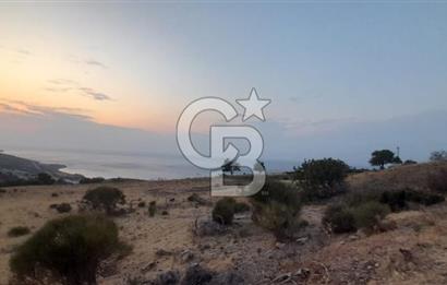 Karaburun Bozköy de Satılık Deniz Manzaralı Tarla