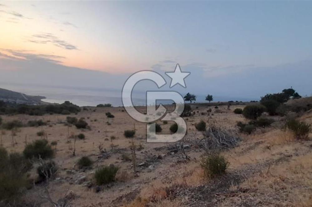 Karaburun Bozköy de Satılık Deniz Manzaralı Tarla