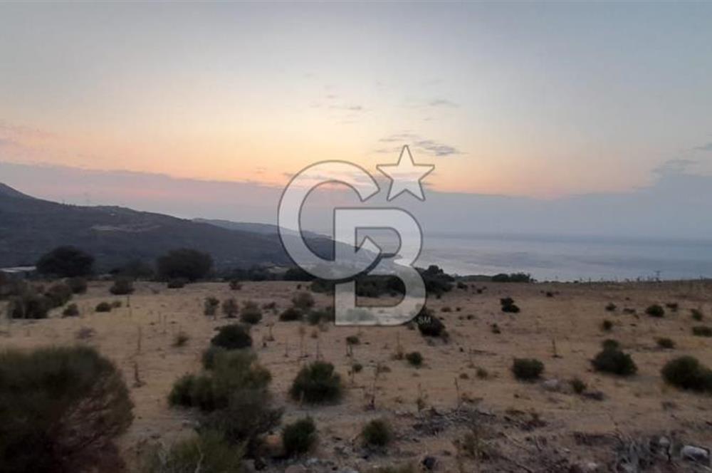 Karaburun Bozköy de Satılık Deniz Manzaralı Tarla