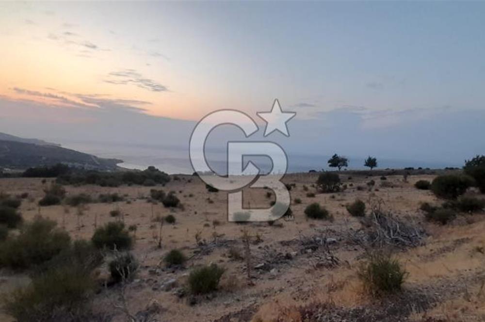 Karaburun Bozköy de Satılık Deniz Manzaralı Tarla