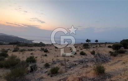 Karaburun Bozköy de Satılık Deniz Manzaralı Tarla