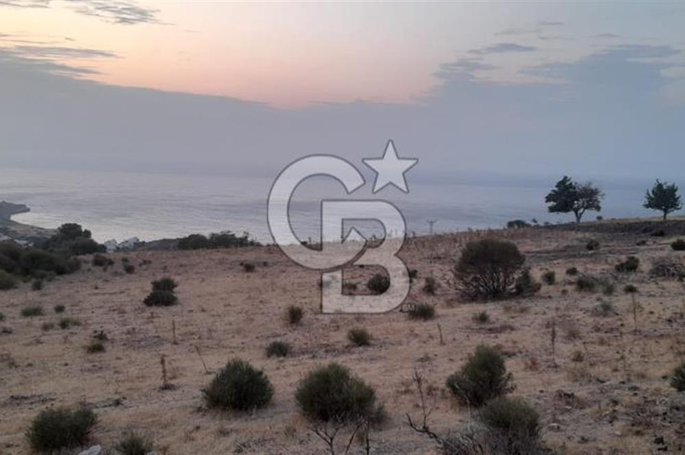 Karaburun Bozköy de Satılık Deniz Manzaralı Tarla