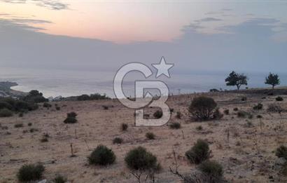 Karaburun Bozköy de Satılık Deniz Manzaralı Tarla