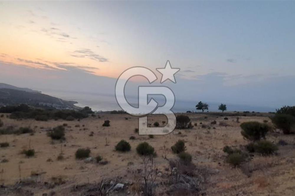 Karaburun Bozköy de Satılık Deniz Manzaralı Tarla