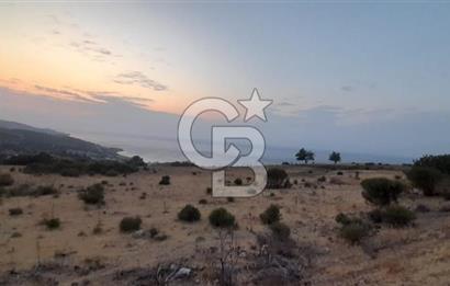 Karaburun Bozköy de Satılık Deniz Manzaralı Tarla