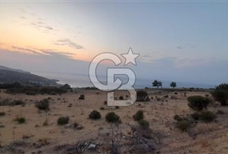 Karaburun Bozköy de Satılık Deniz Manzaralı Tarla