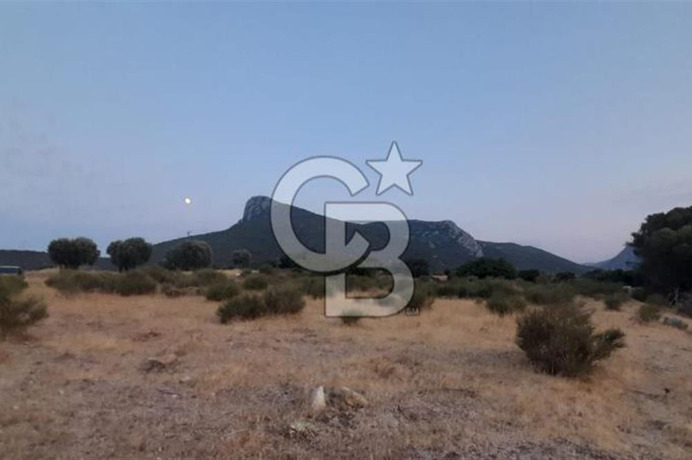 Karaburun Bozköy de Satılık Deniz Manzaralı Tarla