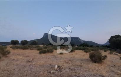 Karaburun Bozköy de Satılık Deniz Manzaralı Tarla