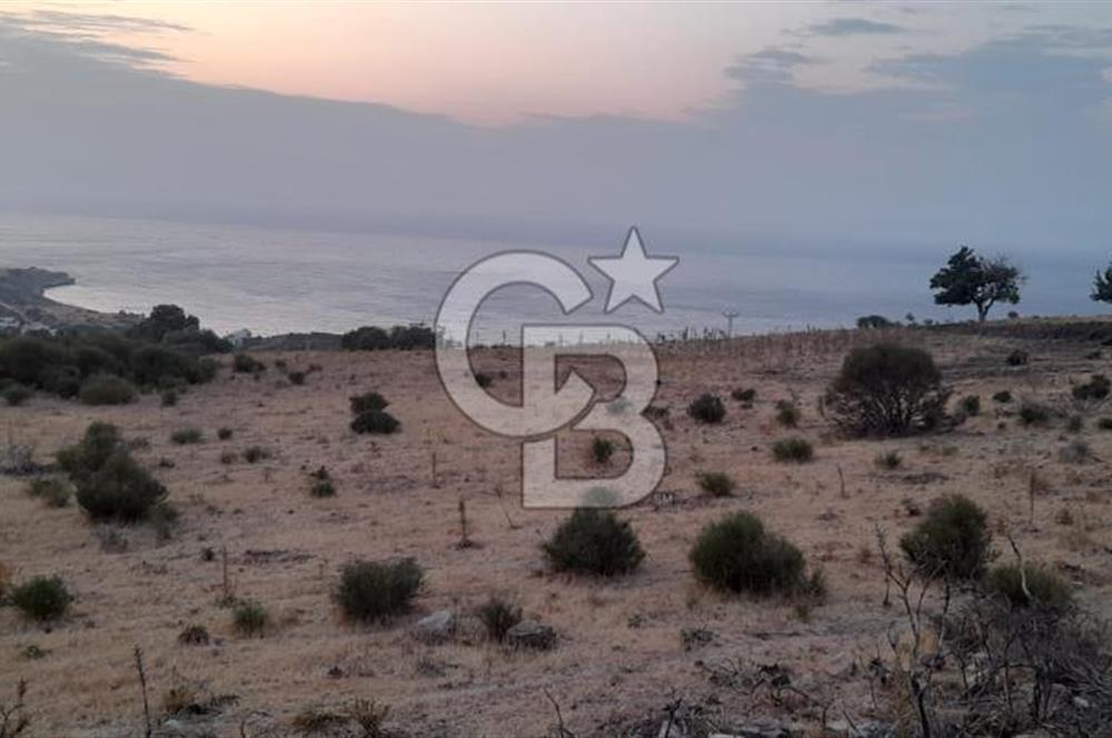 Karaburun Bozköy de Satılık Deniz Manzaralı Tarla
