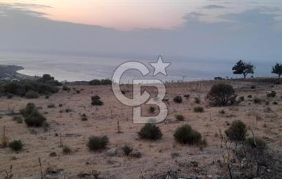 Karaburun Bozköy de Satılık Deniz Manzaralı Tarla