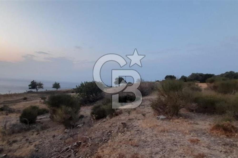 Karaburun Bozköy de Satılık Deniz Manzaralı Tarla