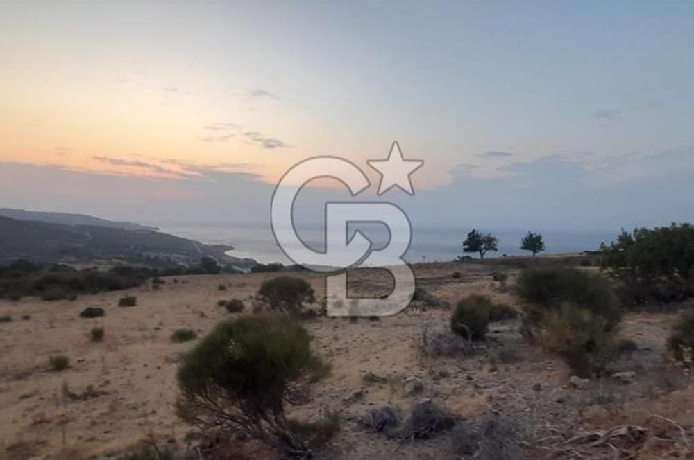 Karaburun Bozköy de Satılık Deniz Manzaralı Tarla