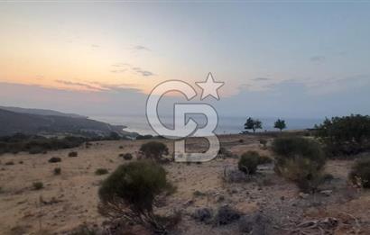 Karaburun Bozköy de Satılık Deniz Manzaralı Tarla