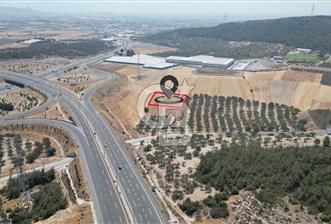 CD'DEN ALİAĞA BOZKÖYDE 3600m2 SATILIK TARLA