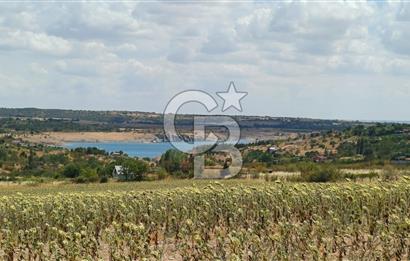 🥇KIRKLARELİ MERKEZDE BARAJ MANZARALI SATILIK TARLA