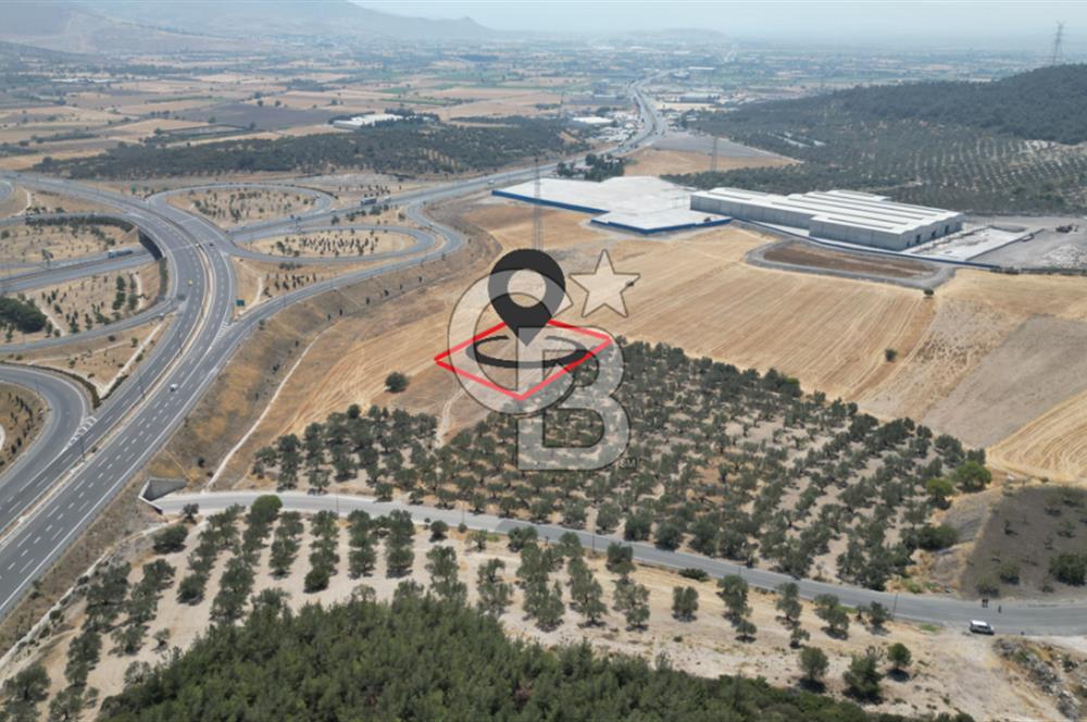 CD'DEN ALİAĞA BOZKÖYDE 3600m2 SATILIK TARLA