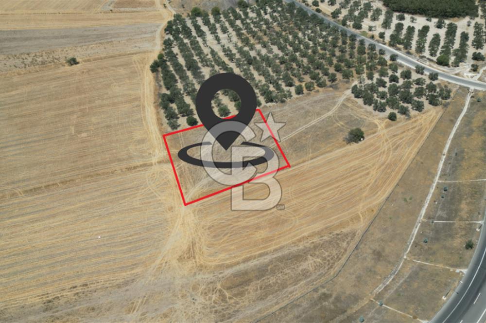 CD'DEN ALİAĞA BOZKÖYDE 3600m2 SATILIK TARLA