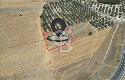 CD'DEN ALİAĞA BOZKÖYDE 3600m2 SATILIK TARLA