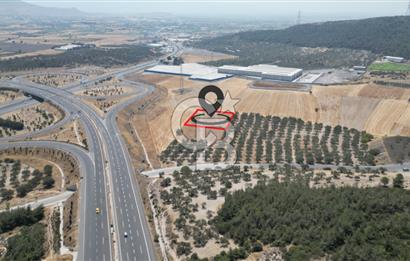CD'DEN ALİAĞA BOZKÖYDE 3600m2 SATILIK TARLA