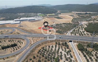 CD'DEN ALİAĞA BOZKÖYDE 3600m2 SATILIK TARLA