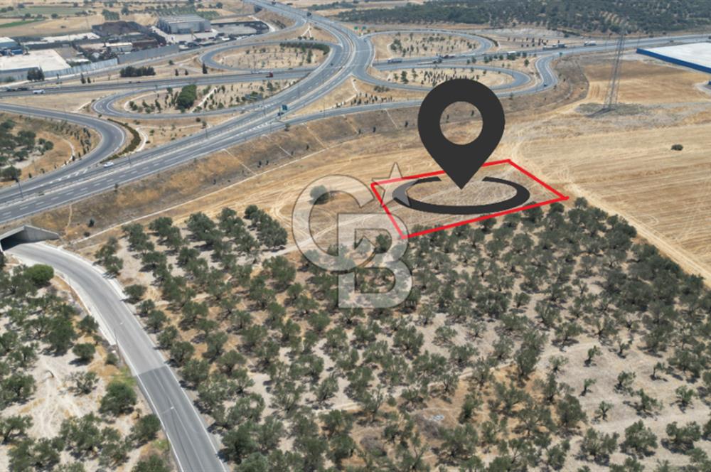 CD'DEN ALİAĞA BOZKÖYDE 3600m2 SATILIK TARLA
