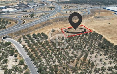 CD'DEN ALİAĞA BOZKÖYDE 3600m2 SATILIK TARLA