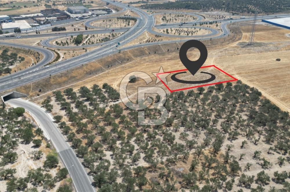 CD'DEN ALİAĞA BOZKÖYDE 3600m2 SATILIK TARLA