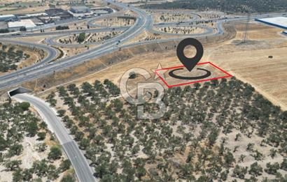 CD'DEN ALİAĞA BOZKÖYDE 3600m2 SATILIK TARLA