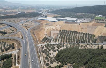 CD'DEN ALİAĞA BOZKÖYDE 3600m2 SATILIK TARLA