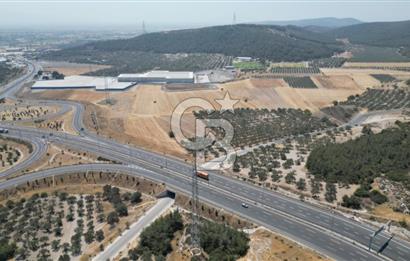 CD'DEN ALİAĞA BOZKÖYDE 3600m2 SATILIK TARLA