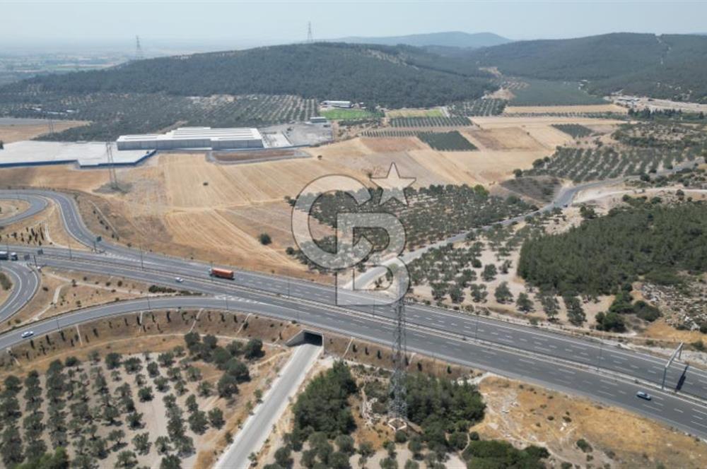 CD'DEN ALİAĞA BOZKÖYDE 3600m2 SATILIK TARLA