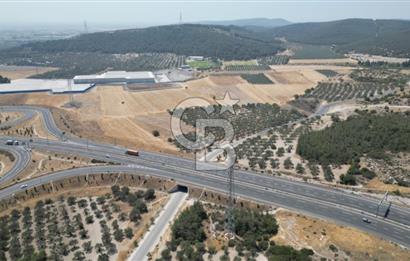 CD'DEN ALİAĞA BOZKÖYDE 3600m2 SATILIK TARLA