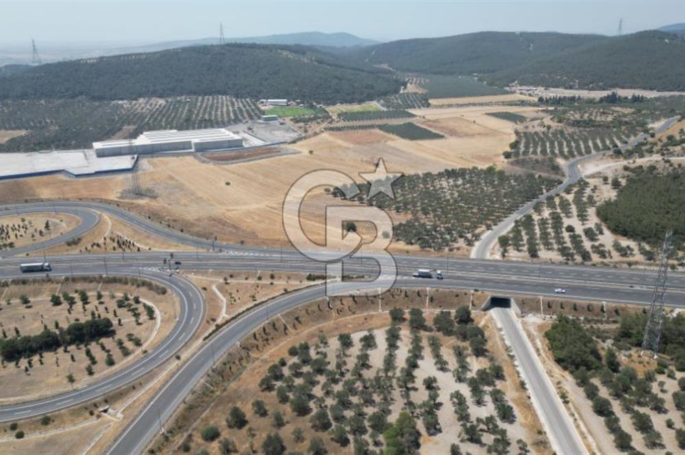 CD'DEN ALİAĞA BOZKÖYDE 3600m2 SATILIK TARLA