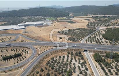 CD'DEN ALİAĞA BOZKÖYDE 3600m2 SATILIK TARLA