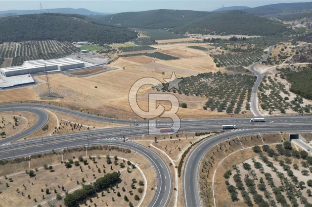 CD'DEN ALİAĞA BOZKÖYDE 3600m2 SATILIK TARLA