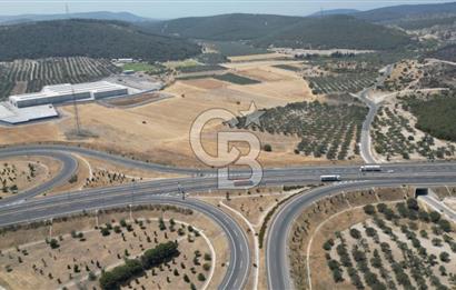 CD'DEN ALİAĞA BOZKÖYDE 3600m2 SATILIK TARLA